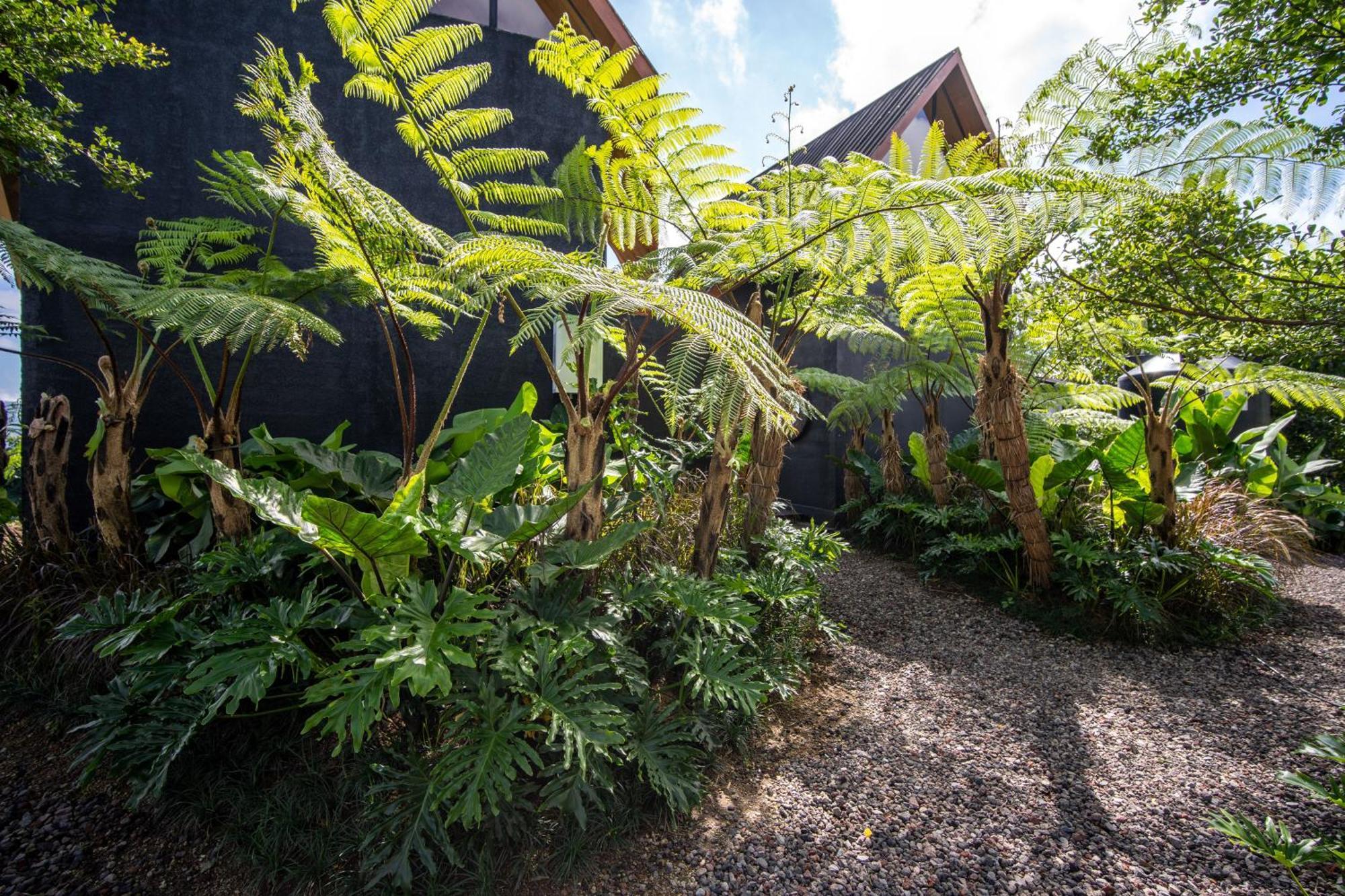 Black Wood Cabin Kintamani  Exterior photo